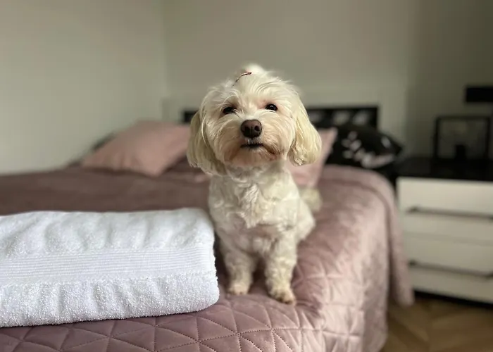 U Tosiek Стегна